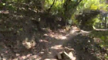 Eagles Nest, Lion Rock Country Park 28 Şubat 2023