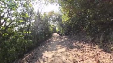 Eagles Nest, Lion Rock Country Park, Hong Kong, 28 Şubat 2023  