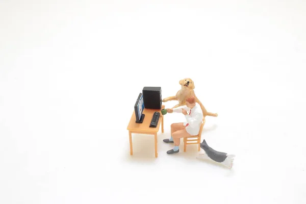 Mini Figure Work Home Pet — Stock Photo, Image