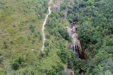 Bitki örtüsü, doğa konsepti.