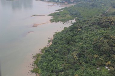 Bitki örtüsü, doğa konsepti.