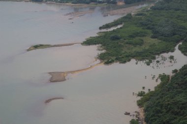 Bitki örtüsü, doğa konsepti.