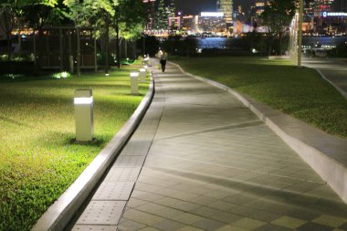 2 Kasım 2013, gece yarısı aydınlık park yolu.