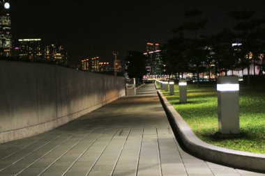 2 Kasım 2013, gece yarısı aydınlık park yolu.