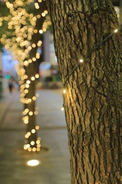 25 Kasım 2013, Hong Kong 'daki Noel ışıklandırması.
