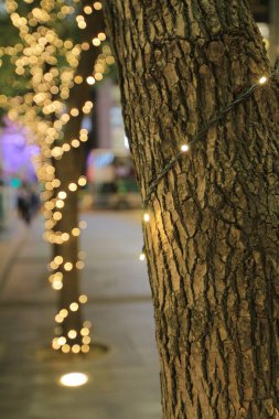 25 Kasım 2013, Hong Kong 'daki Noel ışıklandırması.
