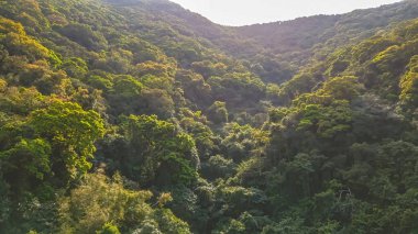 High Junk Peak Country Trail 'in manzarası