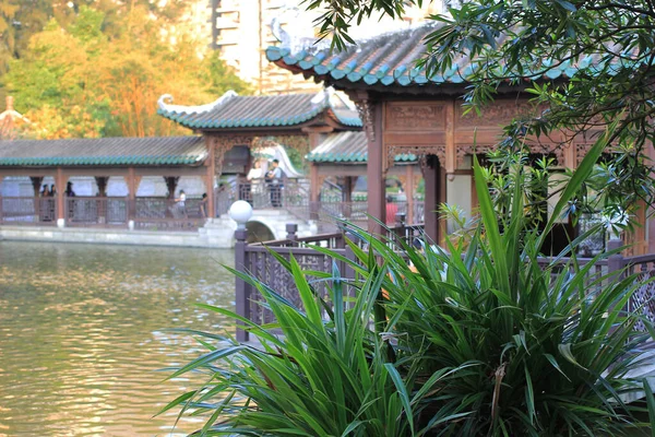 Ekim 2013 Lingnan Bahçe Zleme Parkı Hong Kong — Stok fotoğraf