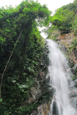 Doğa konsepti, Ng Tung Chai Şelalesi Hong Kong