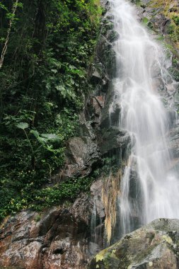 Doğa konsepti, Ng Tung Chai Şelalesi Hong Kong