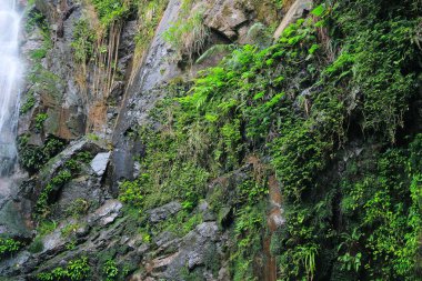 Doğa konsepti, Ng Tung Chai Şelalesi Hong Kong