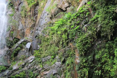 Doğa konsepti, Ng Tung Chai Şelalesi Hong Kong