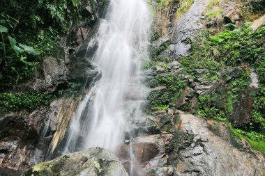 Doğa konsepti, Ng Tung Chai Şelalesi Hong Kong