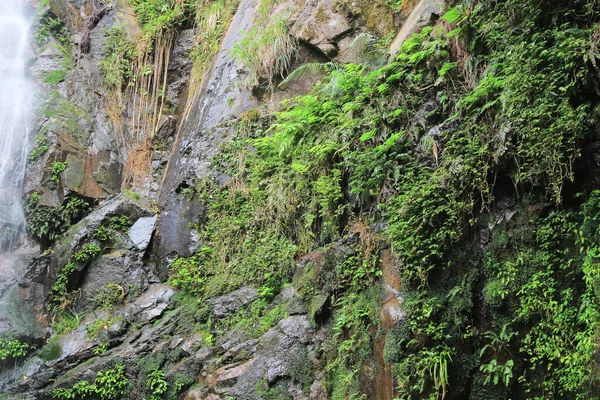 Stock image the nature concept, Ng Tung Chai waterfall HK