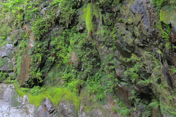 Концепція Природи Водоспад Тунг Чай — стокове фото