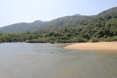 Hoi Ha Wan, dağın her yerinde çalılar ve körfez var..