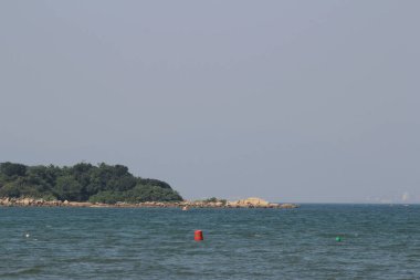 the wild insect , the nature concept image