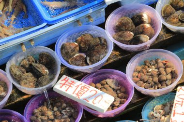 Bir balıkçı 6 Ekim 2013 'te Sai kung' da canlı deniz ürünlerini ayırıyor.