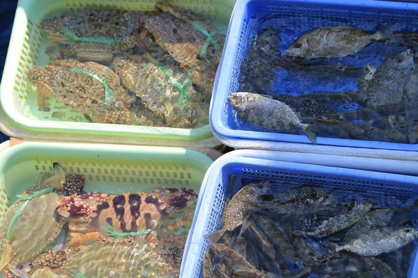 渔人于2013年10月6日在西冈将活鱼分开 — 图库照片