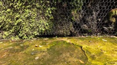 Doğadaki Küçük Su Damlacıklarının Gücü.