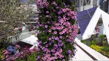 10 Mart 2023 Peyzaj tasarımı ev bahçesi, çiçekler Hong Kong 'u gösteriyor.