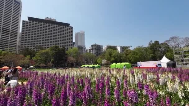 Mart 2023 Peyzaj Tasarımı Bahçesi Çiçekler Hong Kong Gösteriyor — Stok video