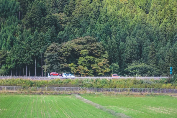 Tsuruga Japonya Nın Kırsal Kesiminde Ekim 2013 Treni Nde Görünüm — Stok fotoğraf