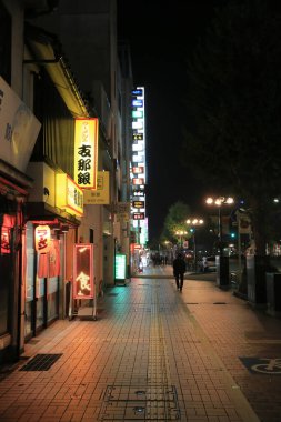 30 Ekim 2013, Japonya 'da Toyama Caddesi gece görüşünde.