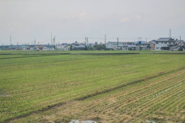 Toyama kırsalının tren manzarası, 30 Ekim 2013