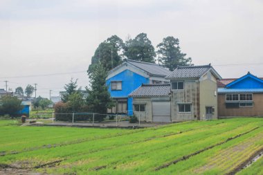 Toyama kırsalının tren manzarası, 30 Ekim 2013