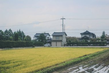 Toyama kırsalının tren manzarası, 30 Ekim 2013