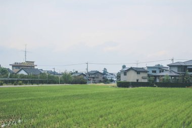 Toyama kırsalının tren manzarası, 30 Ekim 2013