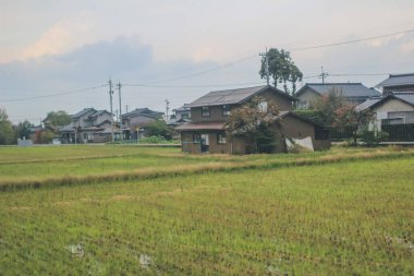 Toyama kırsalının tren manzarası, 30 Ekim 2013