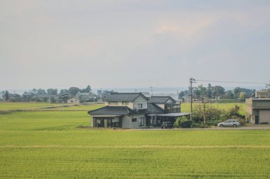 Toyama kırsalının tren manzarası, 30 Ekim 2013