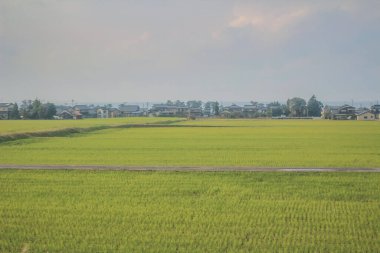 Japonya 'daki tren penceresinden görünen manzara.