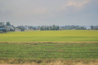 Japonya 'daki tren penceresinden görünen manzara.