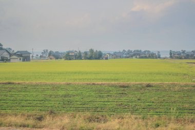 Japonya 'daki tren penceresinden görünen manzara.