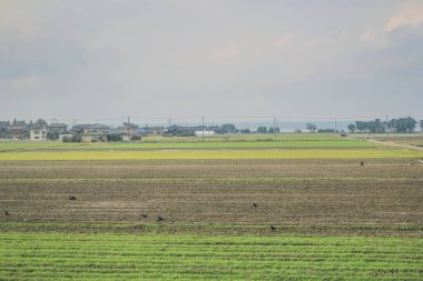 Japonya 'daki tren penceresinden görünen manzara.