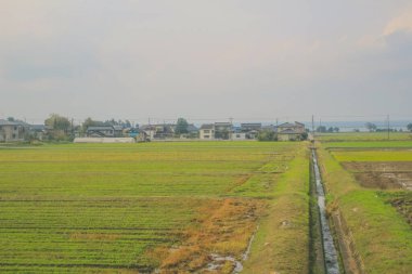 Japonya 'daki tren penceresinden görünen manzara.