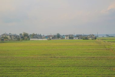 Japonya 'daki tren penceresinden görünen manzara.