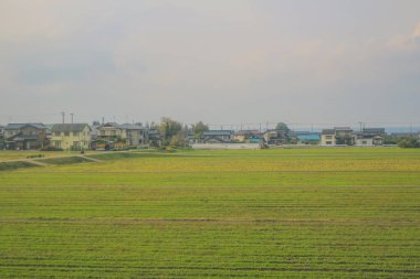 Japonya 'daki tren penceresinden görünen manzara.