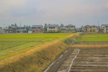 Japonya 'daki tren penceresinden görünen manzara.
