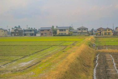 Japonya 'daki tren penceresinden görünen manzara.