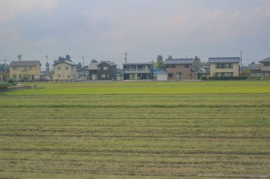 Japonya 'daki tren penceresinden görünen manzara.
