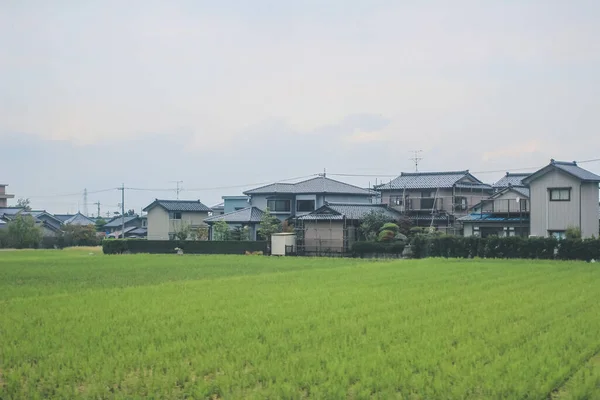 Tågvy Över Toyama Landsbygd Japan Okt 2013 — Stockfoto