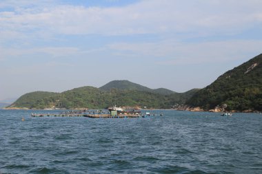 Geleneksel bir Pichic Bay Hong Kong balık köyü. 13 Ekim 2013