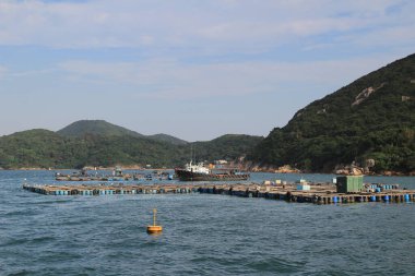 Geleneksel bir Pichic Bay Hong Kong balık köyü. 13 Ekim 2013