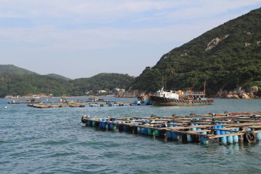 a Pichic Bay Hong Kong traditional fish village. 13 Oct 2013 clipart