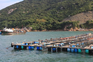 Geleneksel bir Pichic Bay Hong Kong balık köyü. 13 Ekim 2013