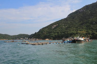 Geleneksel bir Pichic Bay Hong Kong balık köyü. 13 Ekim 2013